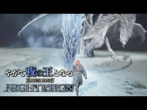 巨人砕きに全てを託して『夜の霞、カリゴ』に挑む玄人【エルデンリング ナイトレイン】