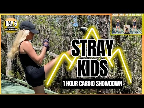DAY 6 🔥 STRAY KIDS 1 HOUR CARDIO SHOWDOWN 🔥HIGH/LOW IMPACT OR CHAIR | (스트레이 키즈) FACE THE MOUNTAIN
