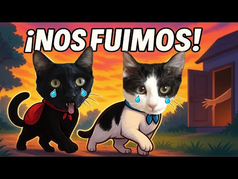 😿 ¿POR QUÉ LOS GATOS SE ESCAPAN DE CASA? | Luna y Estrella 🐾