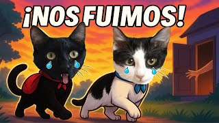 😿 ¿POR QUÉ LOS GATOS SE ESCAPAN DE CASA? | Luna y Estrella 🐾