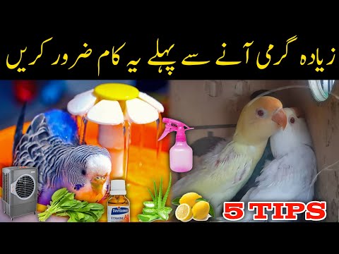 Must do this before extreme summers | Zaida germi se pehle ye kam zaroor karien