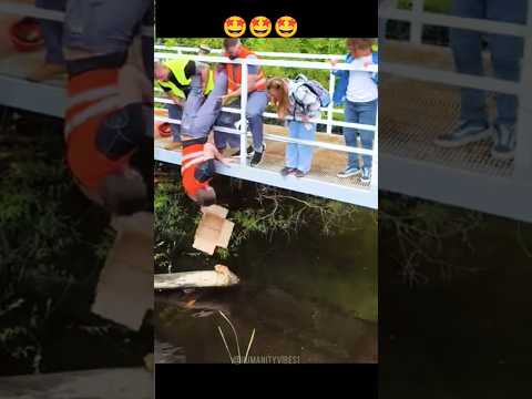 Humans and Animals Helping Each Other | Pure Kindness #shorts #kindness #love #respect