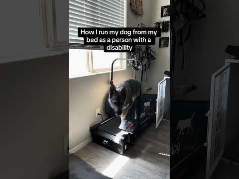 Happy we moved this back into the bedroom so I can run him more often! #Cardiacalertdog #servicedog