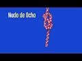 Nudo de 8: Preguntas Clave