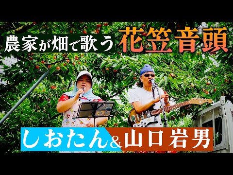 急遽、さくらんぼ畑でライブを開催しました。花笠音頭　しおたん＆山口岩男