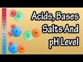 Exploring Acids, Bases, Salts, and the pH Scale