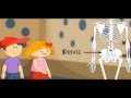 Exploring the Human Skeleton and Its Bones