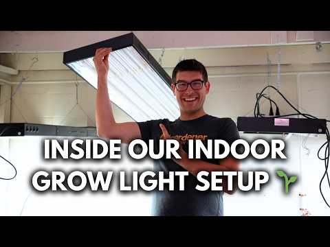 Our Complete Grow Light Setup Explained