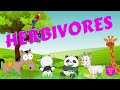 Herbivore Characteristics and Diet
