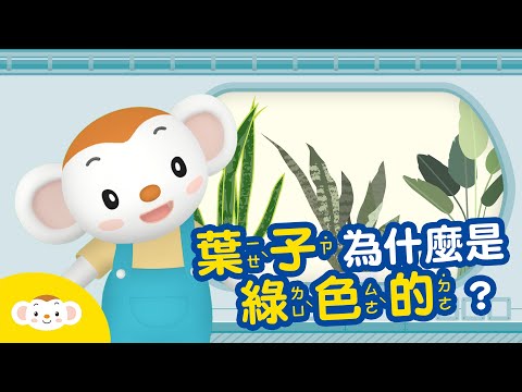 【生物小知識】葉子為什麼是綠色的？ #葉子 #葉綠素｜小行星樂樂TV - YouTube