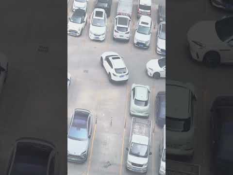 Both Car is Best Parking #driver #parking #parallel #reverse #car
