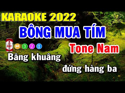 Bông Mua Tím karaoke Tone Nam Nhạc Sống Dễ Hát Nhất 2022 | Trọng Hiếu