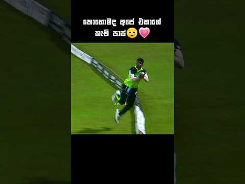කොලුගැටයාගේ වැඩ කොහොමද 😌💗 #cricketshorts #shortreels #ytshorts