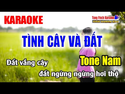 Tình Cây Và Đất || Karaoke Tone Nam – Nhạc Sống Tùng Bách