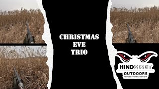 Christmas Eve Trio of Roosters in South Dakota