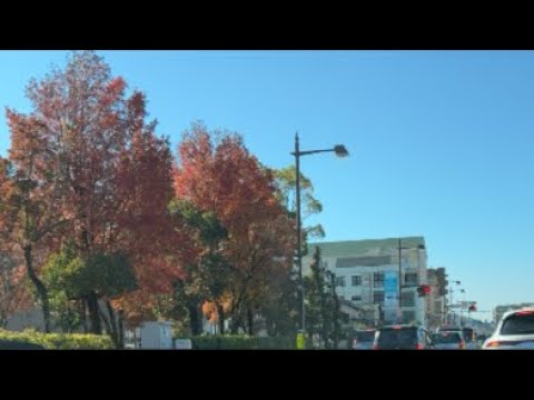 【岡山】岡山着きました!カノアの応援に津山まで!