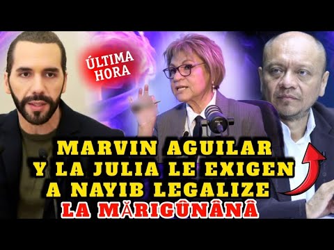 BOMBAZO NAYIB BUKELE NO LO PUEDE CREER JULIA EVELIN Y MARVIN AGUILAR LE EXIGEN QUE LEGALIZE LA M0TA