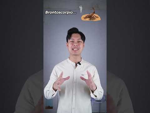 Apa yang Hidup Sebelum Dinosaurus?
