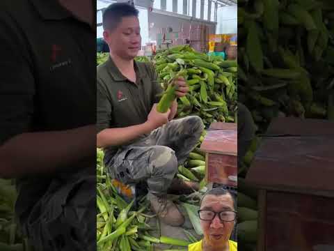 đóng gói bắp đi xuất khẩu #vegetables #farming