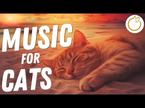 Instantly Calming Music for Anxiety in Cats - TRIED & TESTED 🐱💤