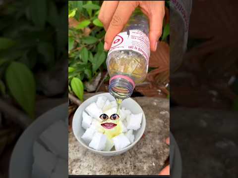 Guide to Using Thermocol in Creative Projects.#surving #outdoors #short