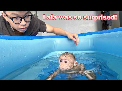 Lala unexpectedly got to swim in the pool installed by the CEO Kien!
