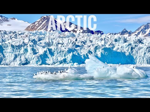 Arctic Trip 2024 | Svalbard | Jan Mayen | Polar Bear
