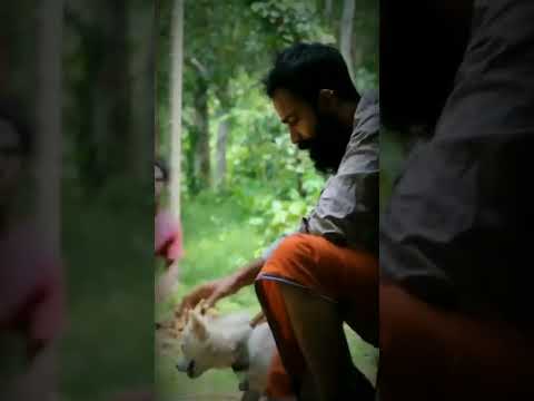 പ്രതികാരം..4 മില്യൺ .#kerala#youtubeshorts #shorts #kerala #trending #contentcreator #virel