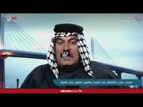 جواد عبد الله: علوة الزبير "كوم تراب وحمامات مابيها" وعقدها 4 مليارات!