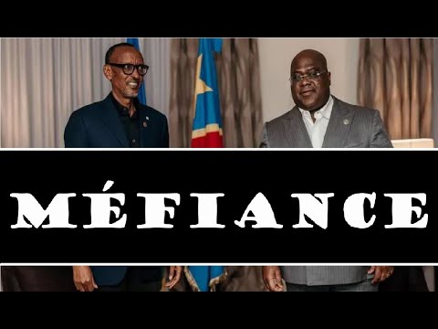 ACCORD DE PAIX RD CONGO - RWANDA: PILLAGE DES MATIÈRES PREMIÈRES ET BALKANISATION DE L'EST DU CONGO