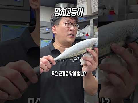 여름에 제철이라는 고등어! 맛은?