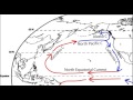 Subtropical Gyres and Ocean Currents