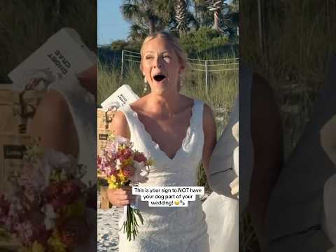 This is your sign to NOT have your dog part of your wedding ๐๐พ