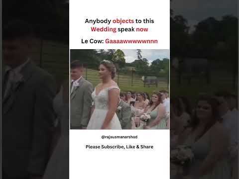 Wedding Interrupted by a Cow! 😂🐮 | Hilarious Wedding Crasher #viralvideo #funny #funnyanimal #memes