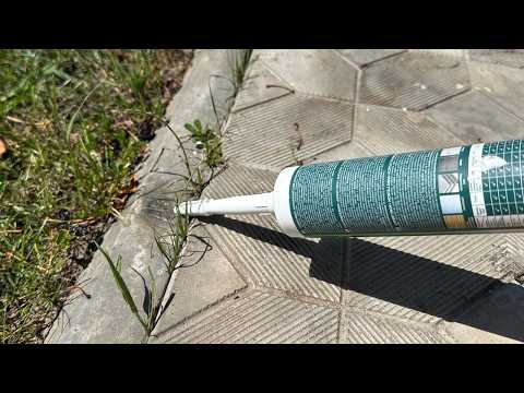 Top 10 Garden Inventions You Can Make at Home