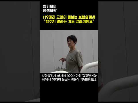 낮엔 보험설계사 저녁엔 119마리 길고양이 밥주는 여자
