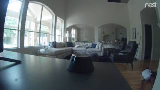 The last thing my Nest cam saw...