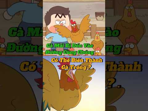 Gà Mái Bị Dồn Vào Đường Cùng Chúng Có Thể Biến Thành Gà Trống ?| Gino Nguyễn #kienthuc