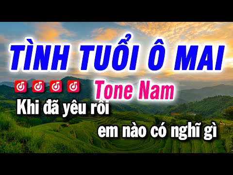 Karaoke Tình Tuổi Ô Mai Nhạc Sống Tone Nam | Beat Bảo Hưng