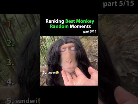 Ranking Best Monkey Random Moments #shorts #ytshorts #youtubeshorts #trending #viral #funny