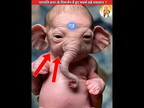 गणपति बप्पा के विसर्जन में हुए सबसे बड़े चमत्कार😭 #sanatanbharatdesh #ganpatibappa #shorts #navratri