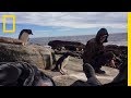 Filming Penguins in Harsh Conditions