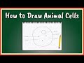 Cell Structure and Function Assessment