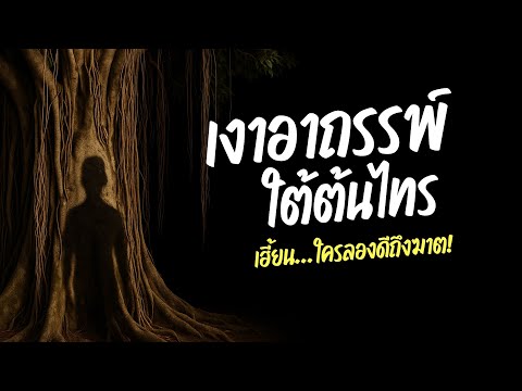 เงาอาถรรพ์ใต้ต้นไทร | ปริศนาวิญญาณผีคุณไสยโบราณ