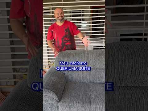 Cama para cachorro com um sofá velho !  #diy
