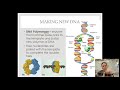 Exploring the Basics of DNA Replication