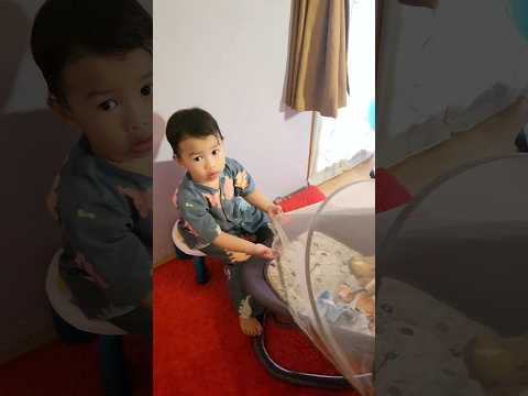 Kaif nyimpan baby anomali #shortvideo #shorts #funny #ytshorts