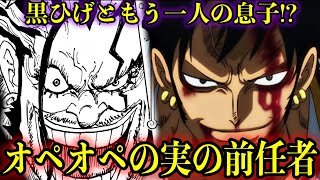 【1156話考察】ロックスはオペオペの実の能力者でローの〇〇だった!?#onepiece