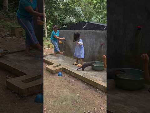 Siboni sangat gembira #betinurgustiani #siboni #animals #americanfunnyvideos