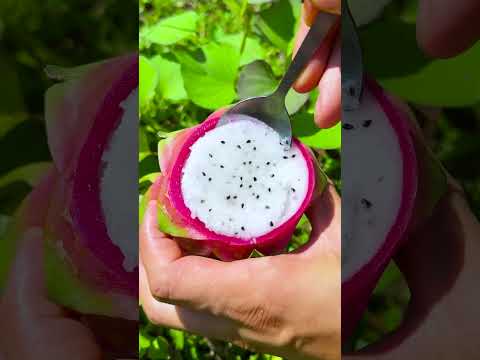 0 đồng ăn gì? #shorts #tiktok #foryou #fyp #food #langlieu